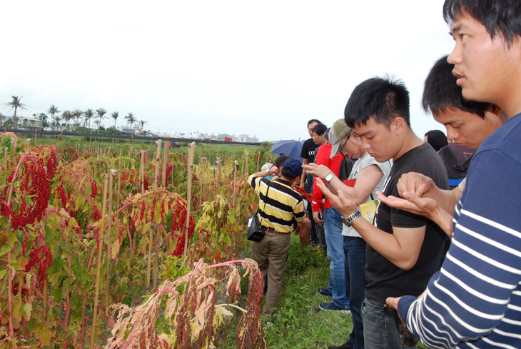 學員於雜糧作物田間栽培管理課程實作情形