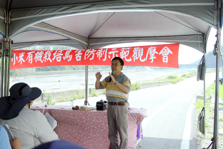 臺東場陳振義副研究員介紹小米有機栽培技術