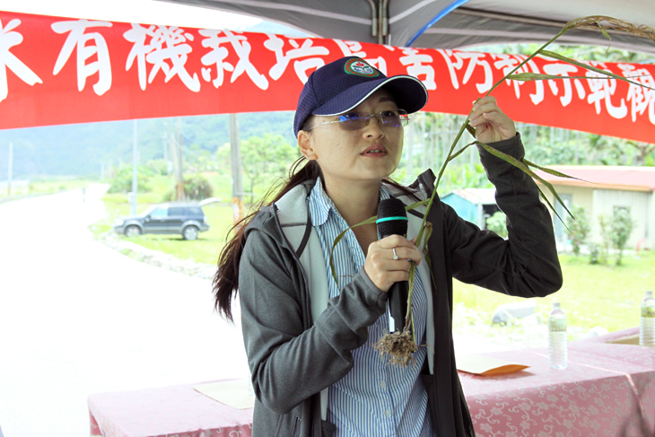 臺東場許育慈助理研究員介紹小米有機栽培病蟲害防治技術