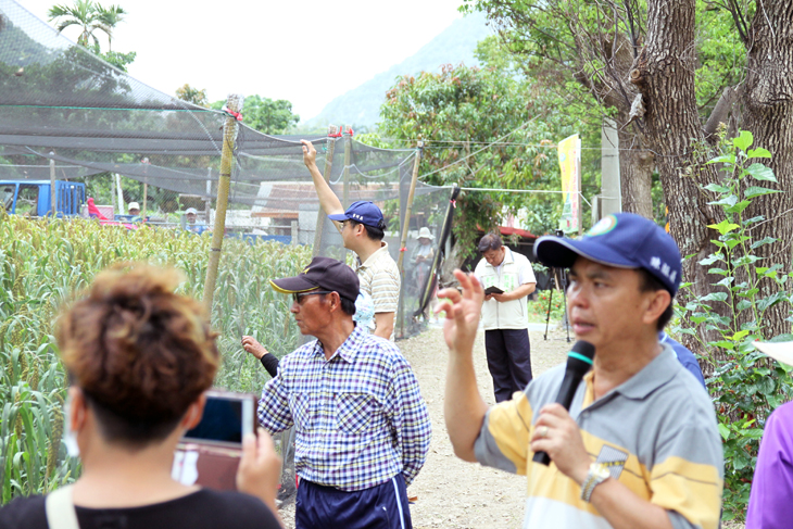 農民實際在田間觀察鳥害防制示範情形