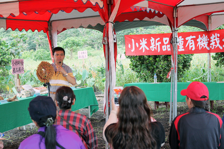 臺東場陳振義副研究員介紹小米有機栽培技術