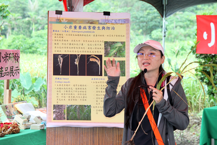 臺東場許育慈助理研究員介紹小米有機栽培病蟲害防治技術
