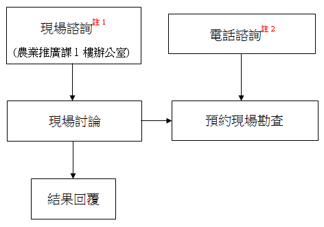 農業張老師實體輔導諮詢服務流程圖:1.現場諮詢→現場討論(預約現場勘查)→結果回覆;2.電話諮詢→預約現場勘查。 農業張老師實體輔導諮詢服務流程圖:1.現場諮詢→現場討論(預約現場勘查)→結果回覆;2.電話諮詢→預約現場勘查。