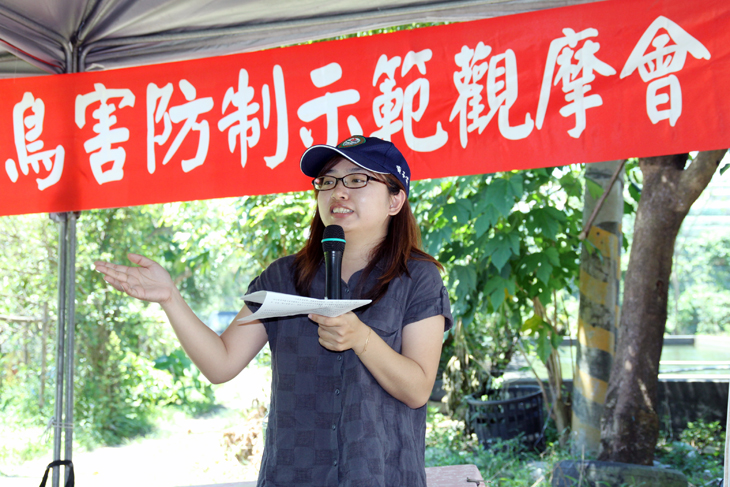 臺東場黃子芸助理研究員介紹小米有機栽培技術