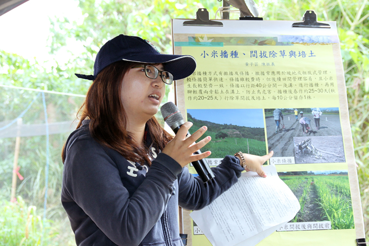 臺東場黃子芸助理研究員介紹小米有機栽培技術