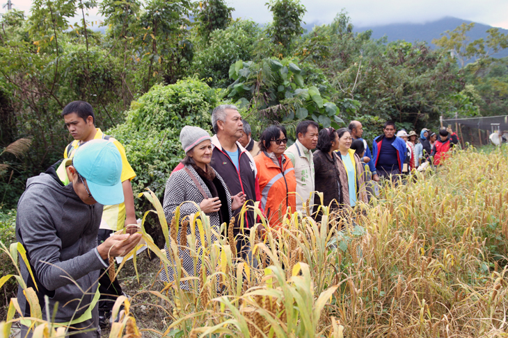 農民在田間觀摩鳥害防制示範情形