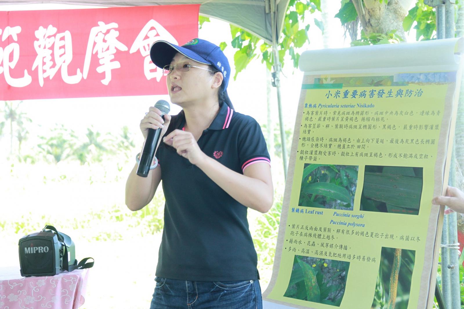 臺東場許育慈助理研究員介紹小米有機栽培病蟲害防治技術