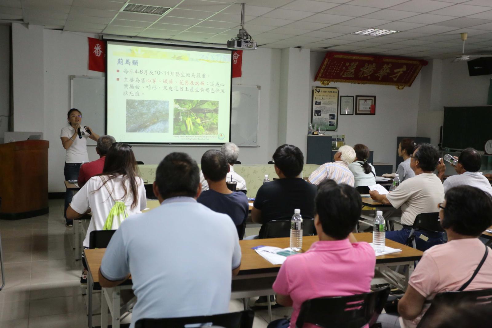 臺東場許育慈助理研究員仔細介紹番荔枝安全用藥技術