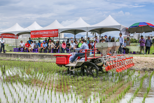 觀摩會田間作業情形 觀摩會田間作業情形