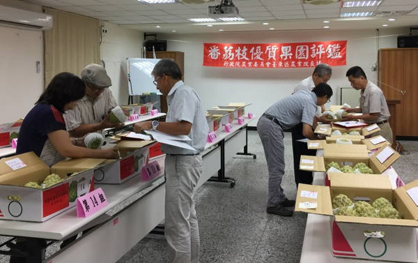 2018「番荔枝優質果園評鑑競賽」得獎者合影第二階段番荔枝果品評鑑情形 第二階段番荔枝果品評鑑情形