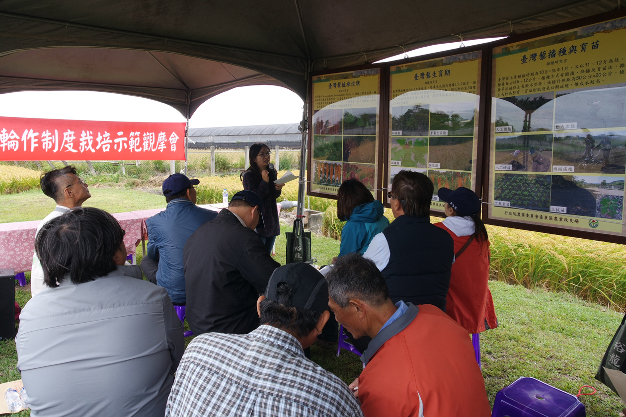 黃助理研究員子芸介紹臺灣藜栽培管理技術及藜稻輪作制度