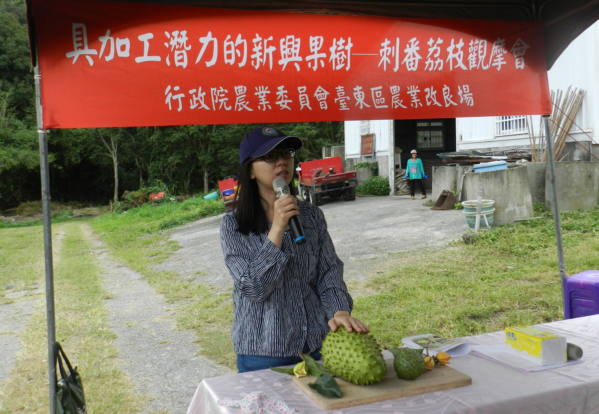 陳筱鈞助理研究員說明刺番荔枝的果實特性