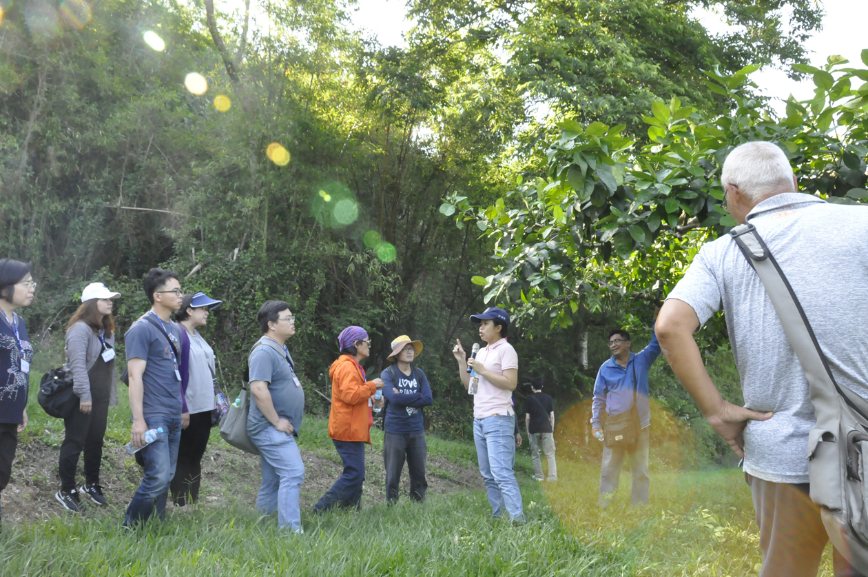 參訓學員在臺東場斑鳩分場實際觀摩果樹栽種技術情形