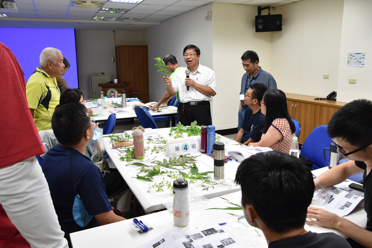 講師向學員講解常見保健植物特性及功效