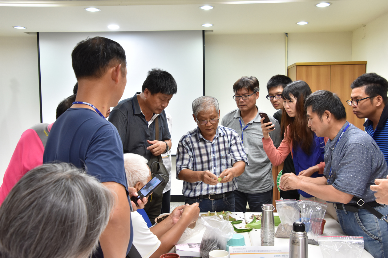 保健植物繁殖技術學習