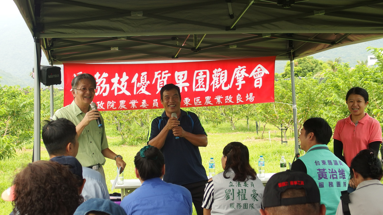現場農民觀摩果園情形 現場農民觀摩果園情形