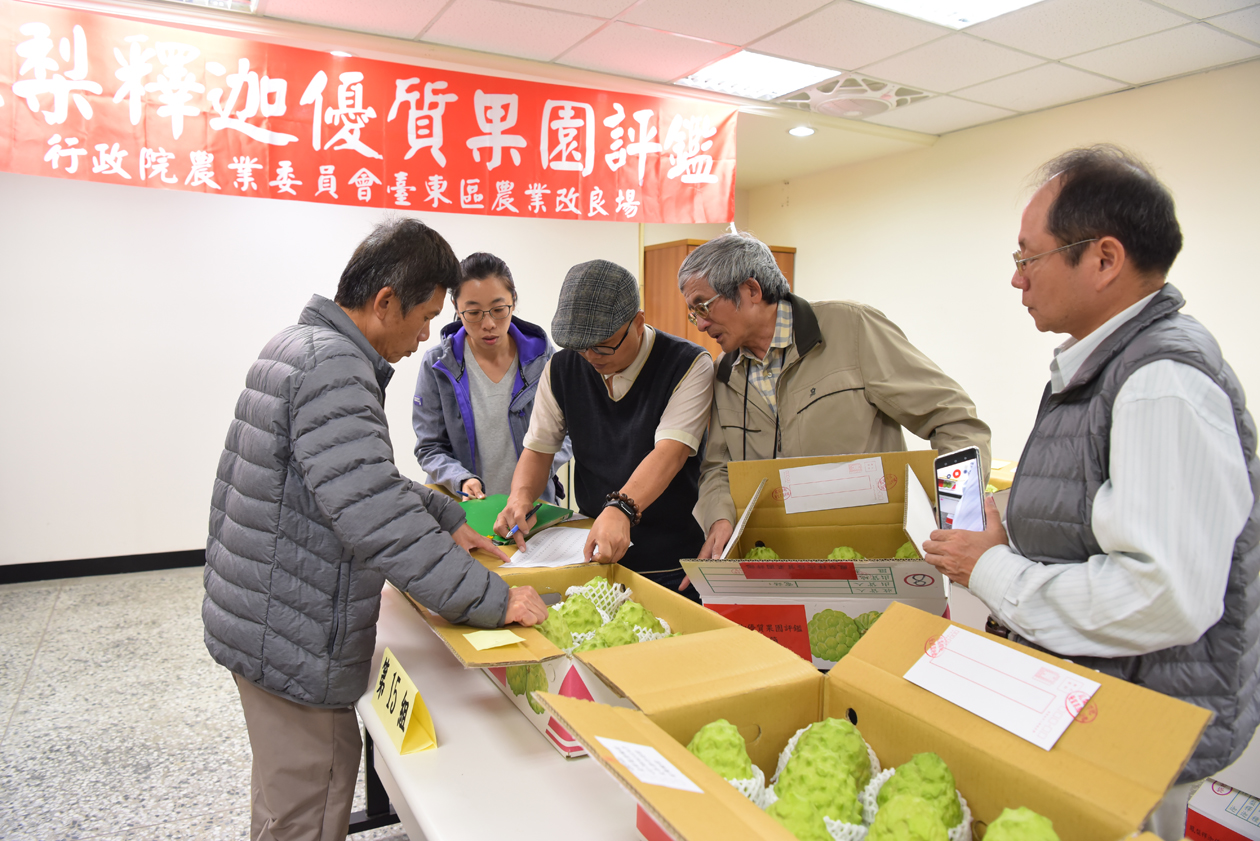 鳳梨釋迦果品評鑑情形