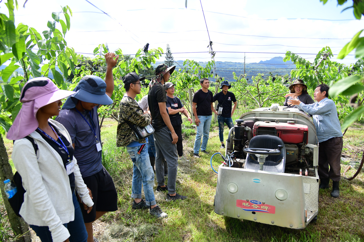 安全用藥學習 安全用藥學習