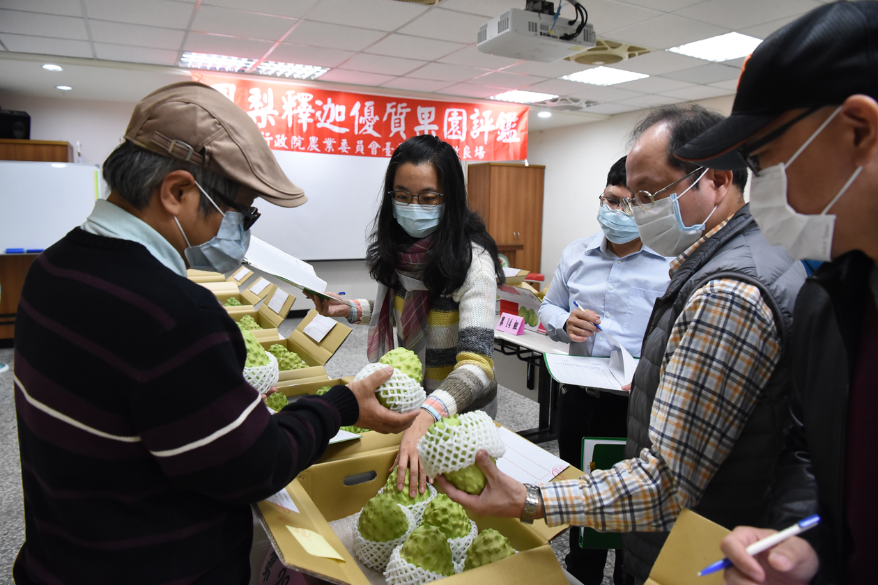 鳳梨釋迦果品評鑑情形