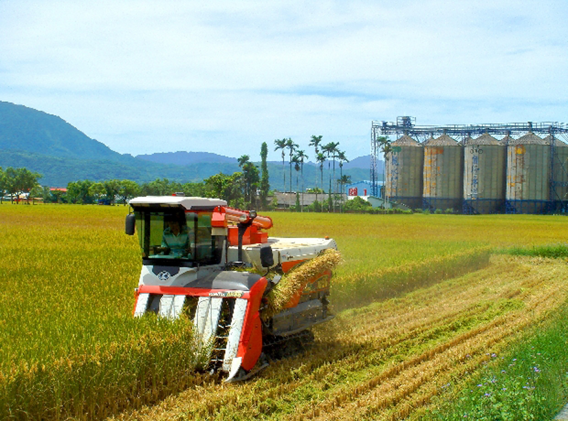 梓園碾米廠經營面積廣闊，產銷履歷驗證面積接近1,000公頃