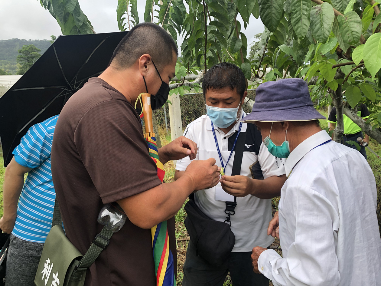 學員針對番荔枝栽培技巧熱烈討論