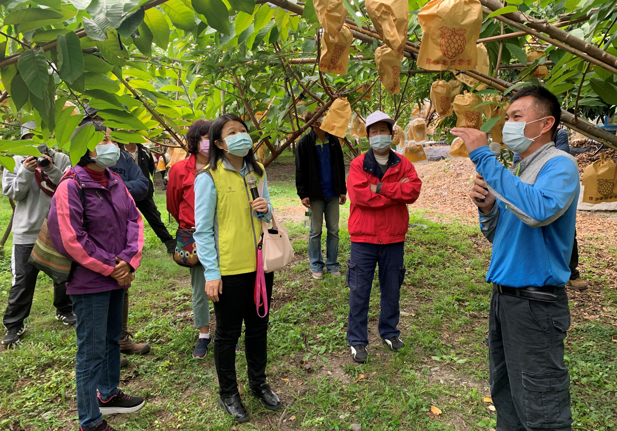 鳳梨釋迦園區農民觀摩情形