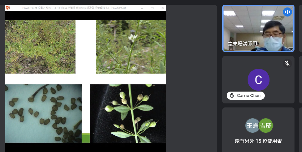 野外保健植物特性介紹