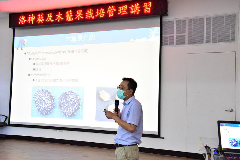 薛銘童副研究員介紹木虌果栽培管理概論 薛銘童副研究員介紹木虌果栽培管理概論