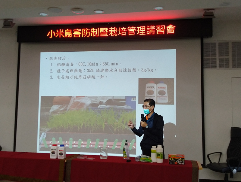 林駿奇助理研究員講解小米病蟲害防治技術