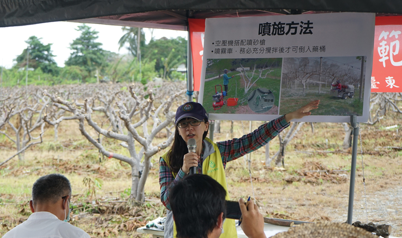 陳筱鈞助理研究員說明果樹枝幹防曬的重點及操作方法