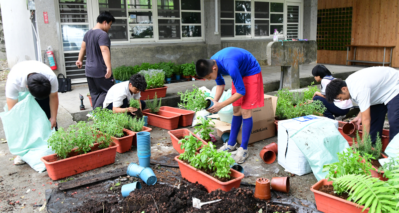 學生體驗栽種香草植物情形