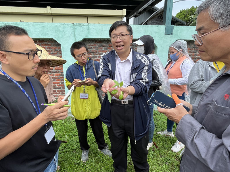 講師帶領學員認識生活周遭保健植物