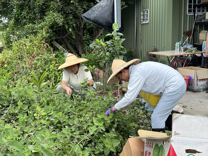 學員見習農場作業