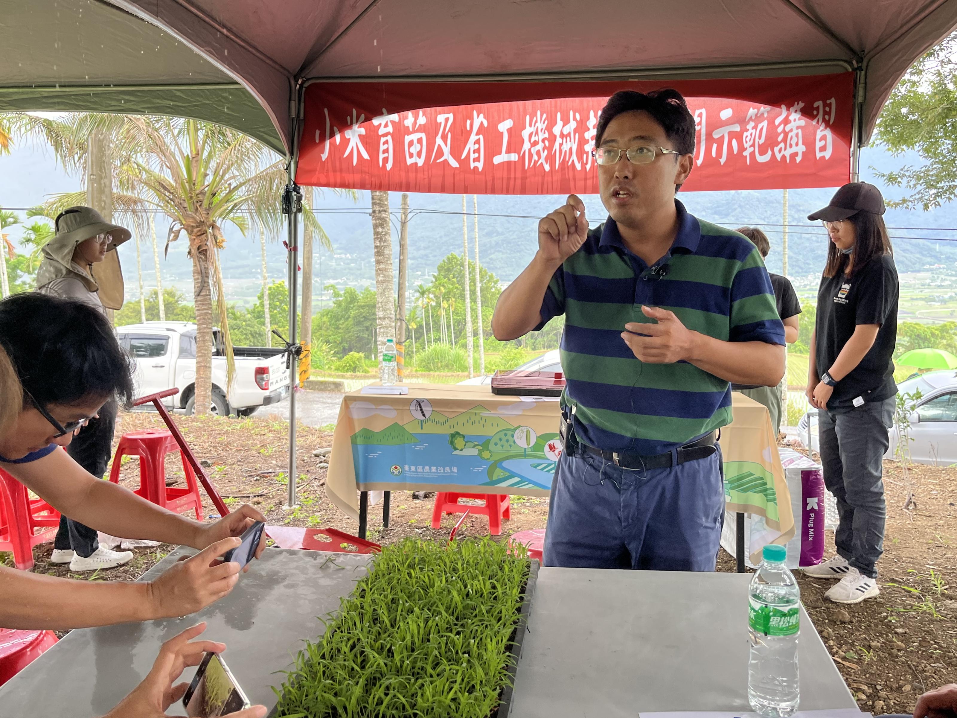 張芳魁助理研究員介紹小米育苗與移植技術