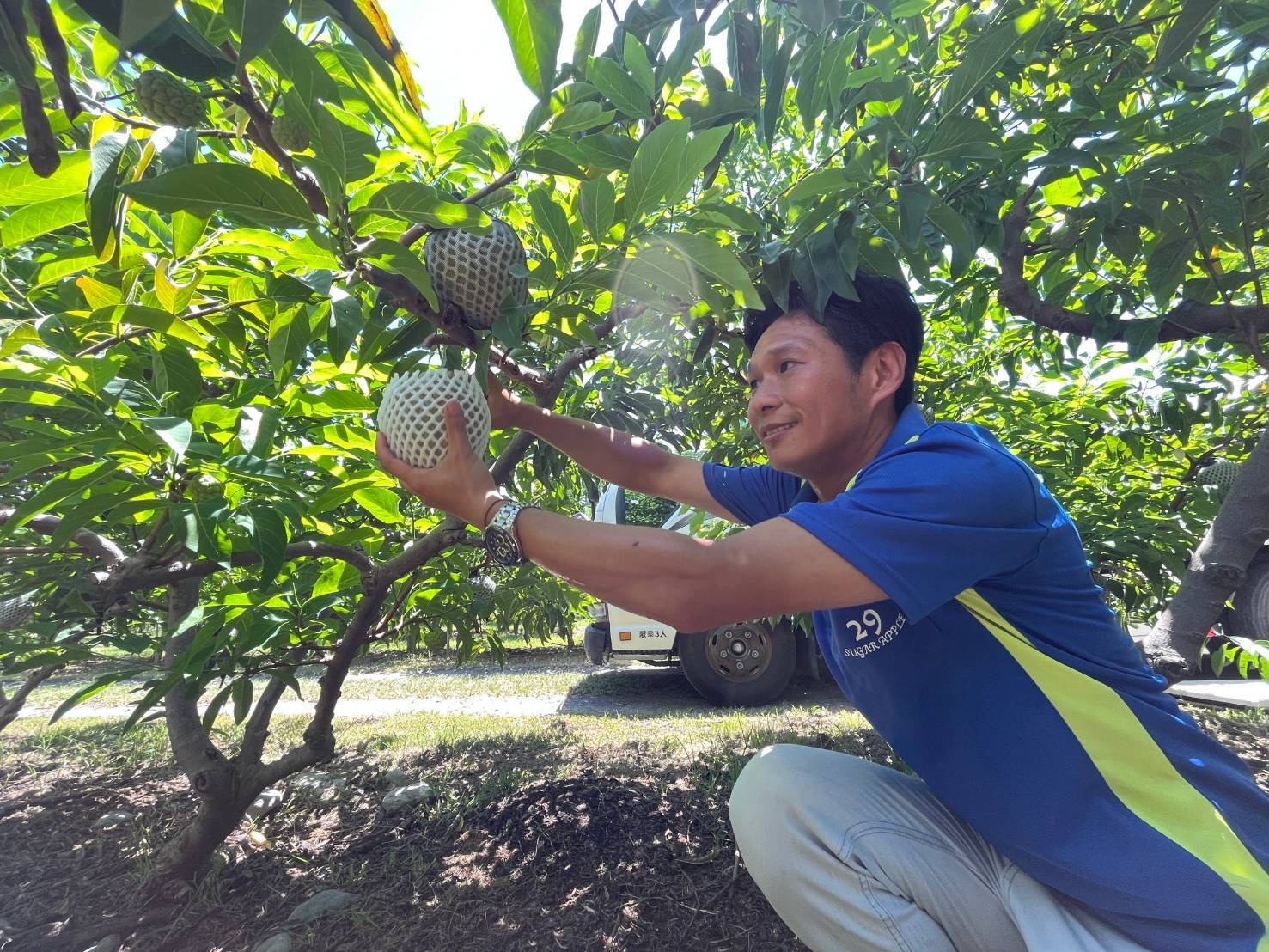 圖一、優秀的釋迦青農謝宗憲