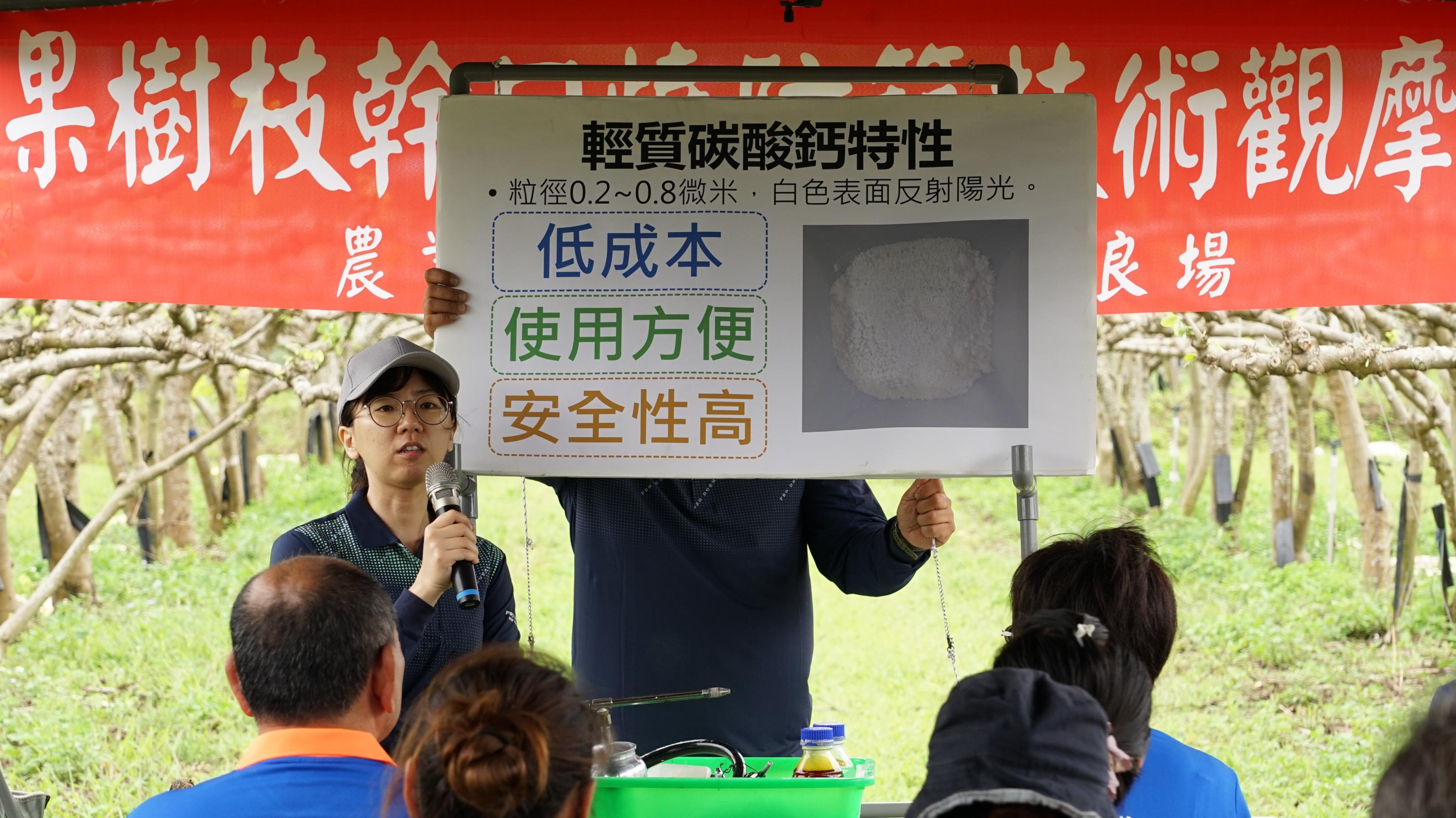 陳筱鈞助理研究員說明果樹枝幹防曬的重點及操作方法 陳筱鈞助理研究員說明果樹枝幹防曬的重點及操作方法