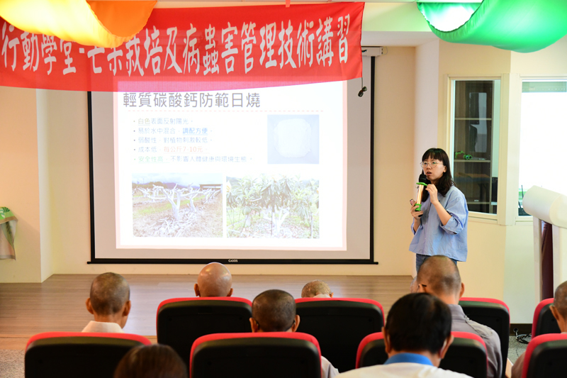 臺東農改場陳筱鈞助理研究員介紹果樹枝幹日燒防範技術