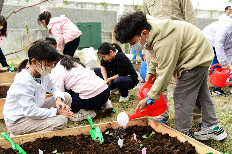 學生細心的為洛神葵幼苗澆水