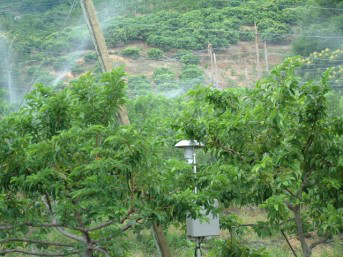 圖8.果園焚風感測灌溉系統