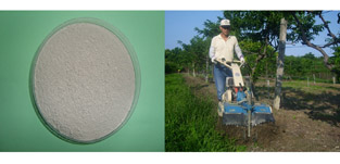 麥飯石於臺東地區主要作物之肥培管理應用研究