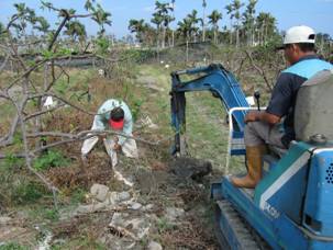 宣導推廣利用苦土石灰改善酸性土壤問題
