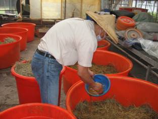 推廣自行製作腐熟堆肥增進土壤地力