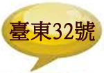臺東32號