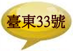 臺東33號