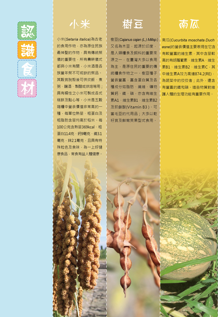 認識食材