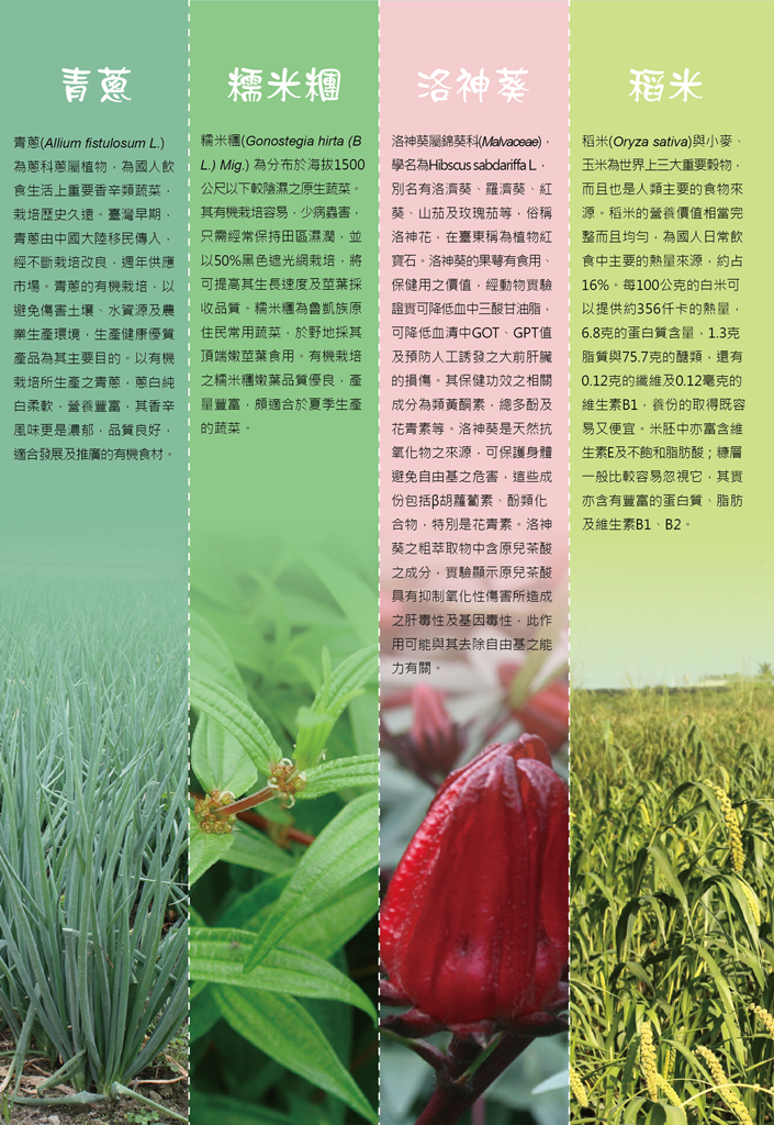 2011年 經典美饌 - 臺東區發展地方料理臺東區有機樂活餐競賽食譜-認識食材二