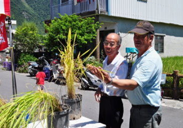 100年6月23日於關山鎮辦理水稻合理化施肥暨病蟲害防治觀摩會