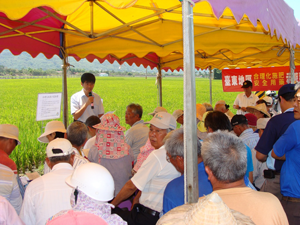 98年5月20日 關山鎮水稻合理化施肥暨安全用藥示範觀摩會