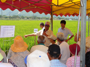 98年5月20日 關山鎮水稻合理化施肥暨安全用藥示範觀摩會