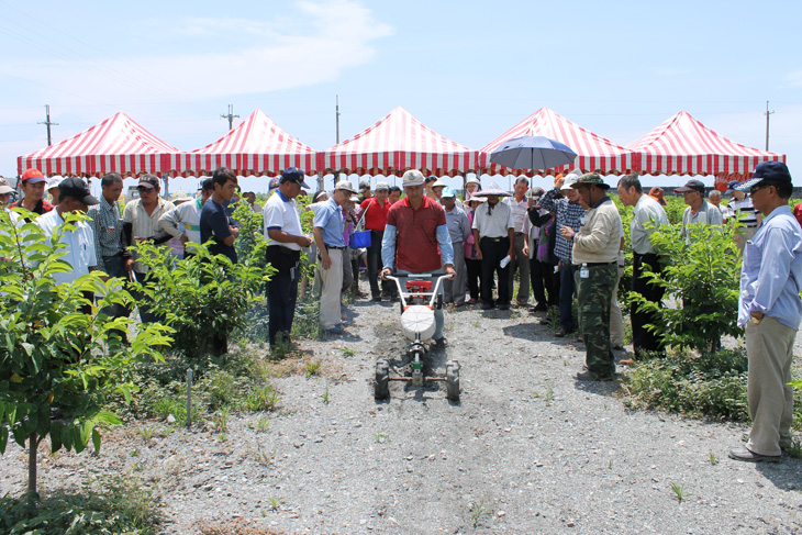 102年6月11日 農友踴躍太麻里復耕地栽種綠肥改良土壤暨安全用藥觀摩會之情形